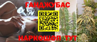 прущие грибы Будённовск