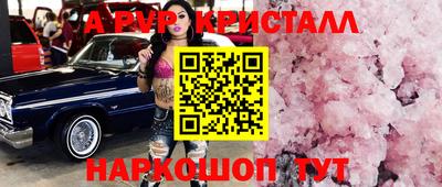 СК Бийск