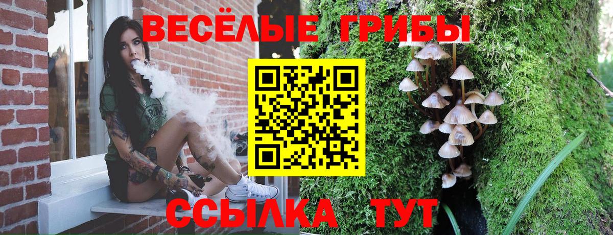 Брянск  Галлюциногенные грибы Psilocybe  Галлюциногенные грибы мухоморы  продажа наркотиков  Вход с VPN 
