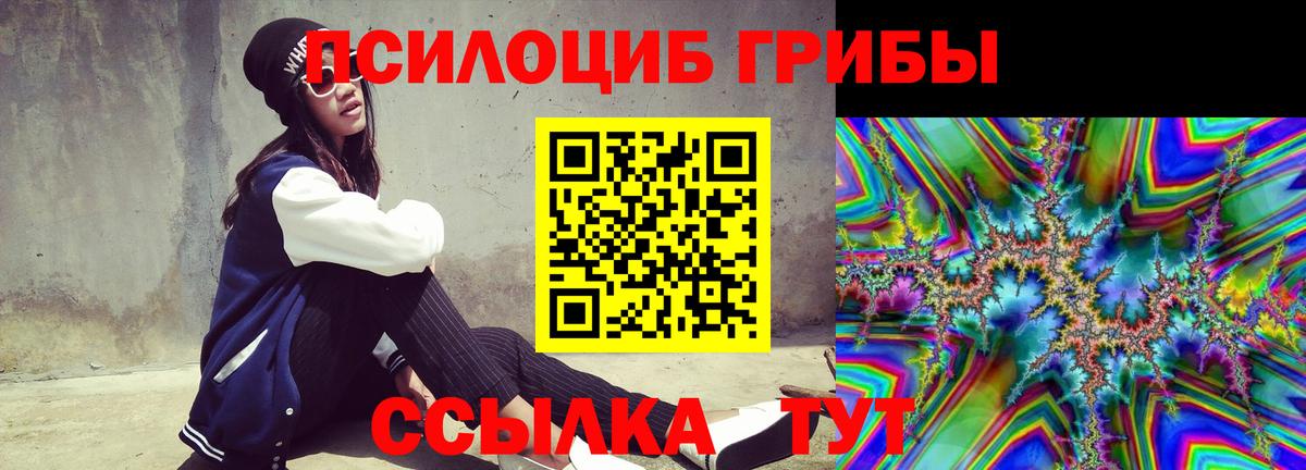 Псилоцибиновые грибы Psilocybe Брянск